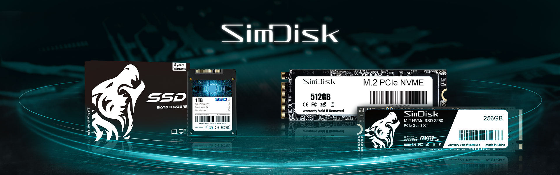 SimDisk