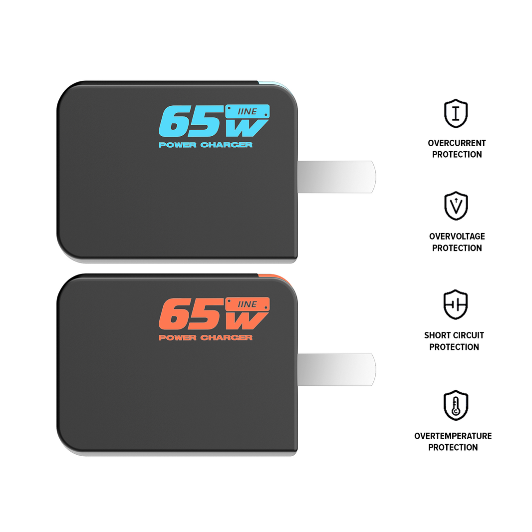 IINE 65W GaN Fast Charger for Nintendo Switch 2