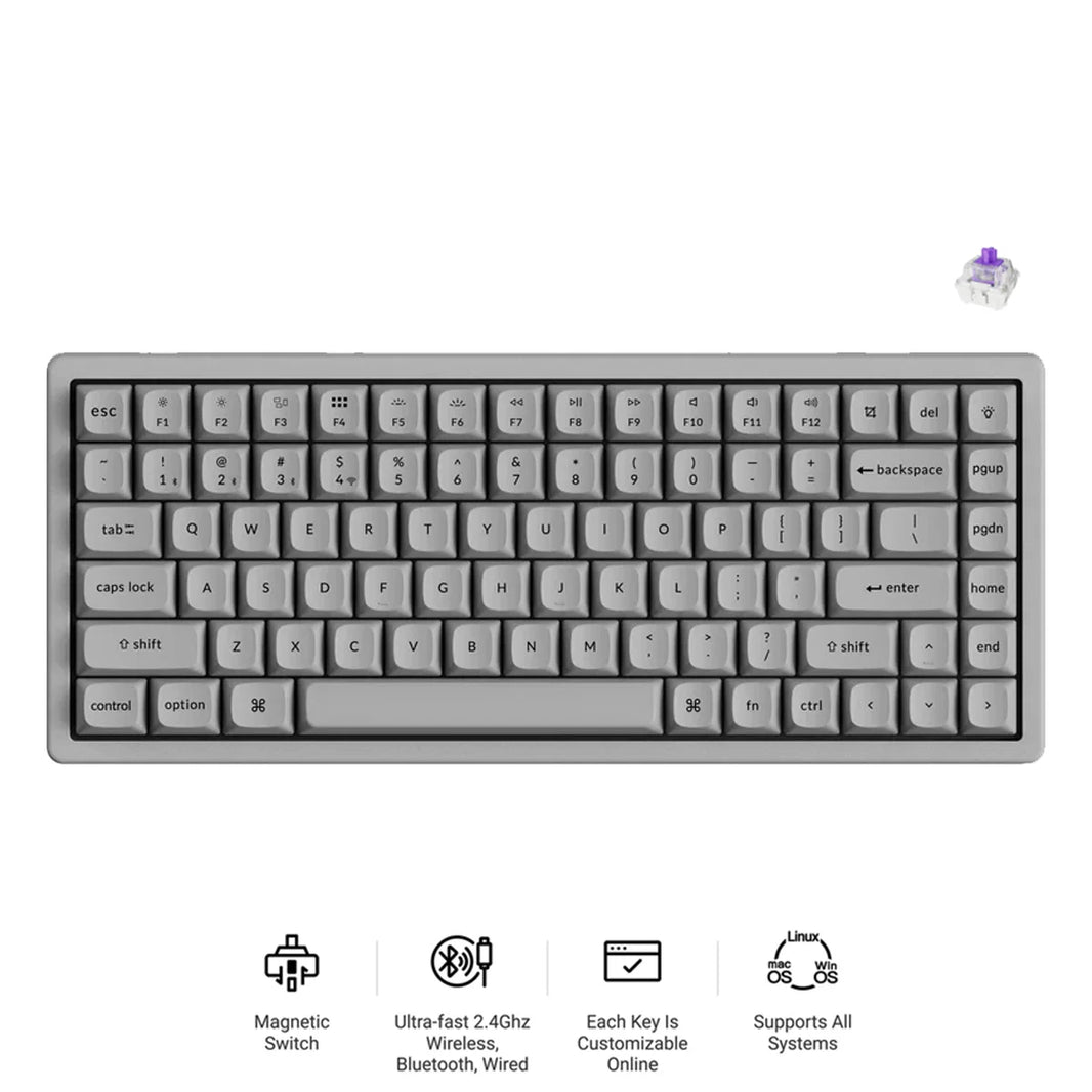 Keychron K2 HE 75% Wireless Hot-Swappable RGB Magnetic Switch Custom Keyboard (Gateron Double-Rail Magnetic Nebula Switch)