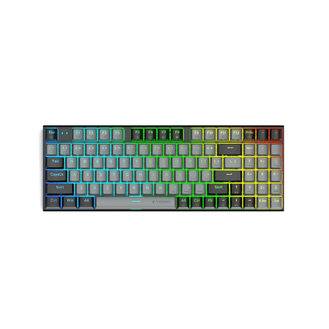 E-Yooso Z-19 RGB Rainbow & Dynamic Lighting Effects Gaming Mechanical Keyboard Gray/Black (Red Switch)