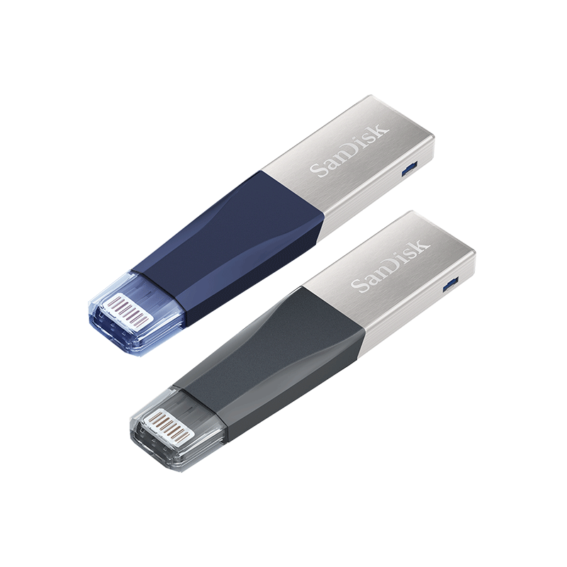 SANDISK IXPAND SDIX40N