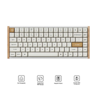 Keychron K2 HE Special Ed. 75% Wireless Magnetic Switch Keyboard (Gateron Double-Rail Magnetic Nebula Switch)