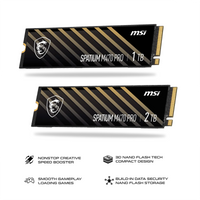 MSI SPATIUM M470 Pro PCIe 4.0 NVMe M.2 SSD