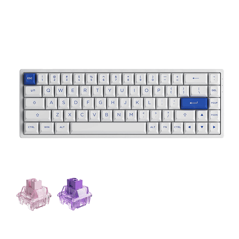 Akko Blue on White 3068B Plus Multi-Modes RGB Mechanical Keyboard