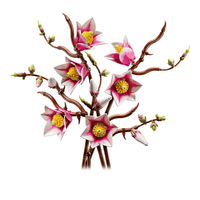 LEGO Botanicals Magnolia Branches (11510)