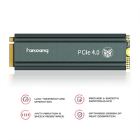 Fanxiang S660 M.2 2280 NVMe SSD PCIe 4.0 3D TLC (PC/Laptop/PS5)
