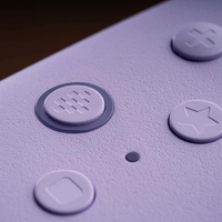 8BitDo Ultimate 2C Wired Controller