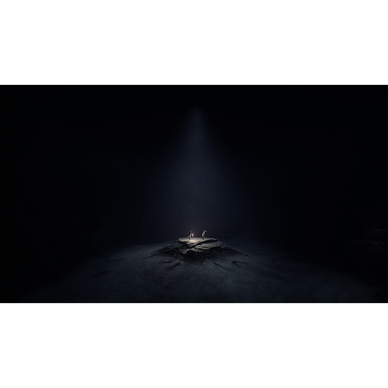 PlayStation 5 Reanimal: Standard Edition (EU)