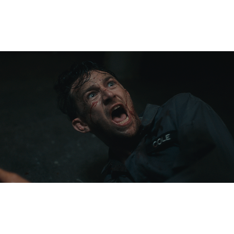 PlayStation 5 Dead Reset EU