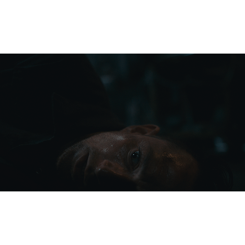 PlayStation 5 Dead Reset EU