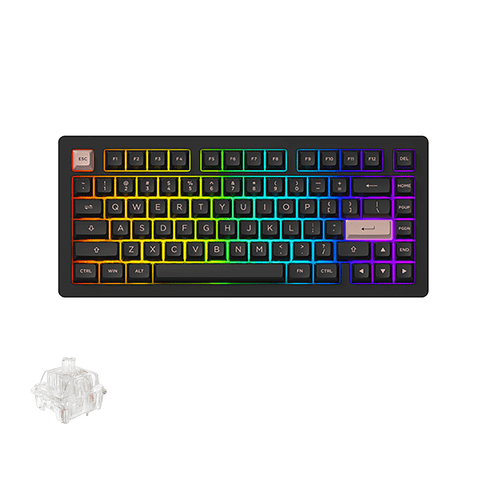 AKKO ACR PRO 75 RGB Mechanical Keyboard Hot-Swappable Gasket Mount [Black-South Facing PCB] (AKKO Crystal)