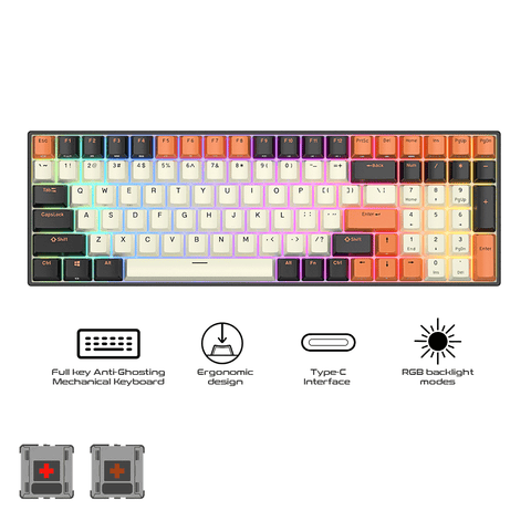 Royal Kludge RK100 Tri Mode RGB 100 Keys Hot Swappable Mechanical Keyboard Black Orange