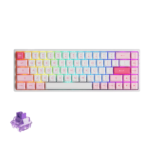 AKKO Prunus Lannesiana 3068B Plus Multi-Modes RGB Mechanical Keyboard (Akko CS Jelly Purple)