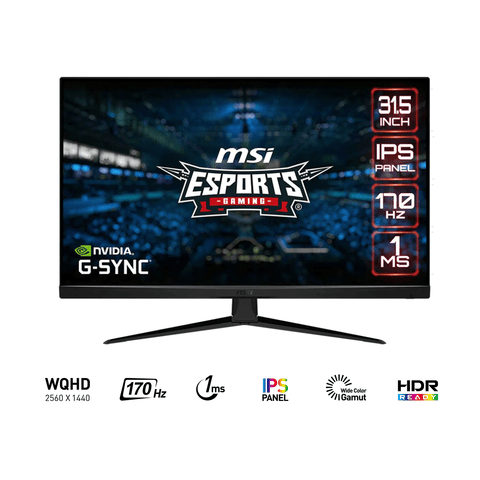 MSI G321Q 31.5" WQHD Flat IPS 170Hz 1ms MPRT G-Sync Compatible eSports Gaming Monitor