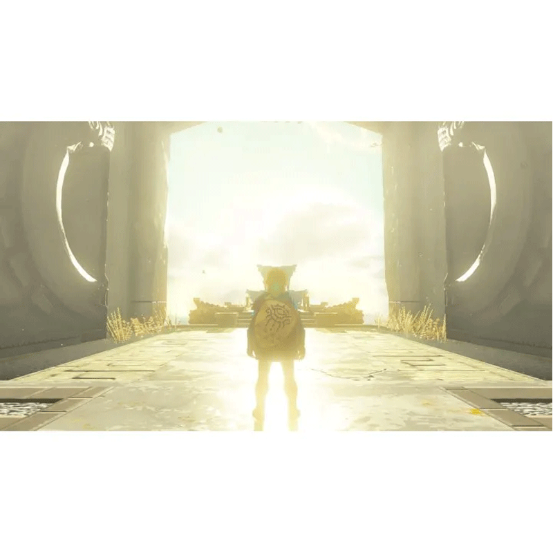 Nintendo Switch Zelda Tears Of Kingdom Standard Ed