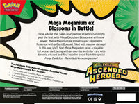 Pokémon TCG Ascended Heroes EX Box - Meganium (ENG)