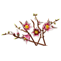 LEGO Botanicals Magnolia Branches (11510)