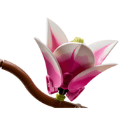 LEGO Botanicals Magnolia Branches (11510)