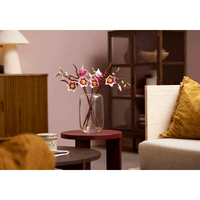 LEGO Botanicals Magnolia Branches (11510)