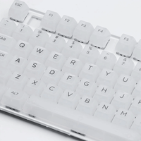 AKKO Clear Full Transparent Keycaps Set ASA 155 Keys