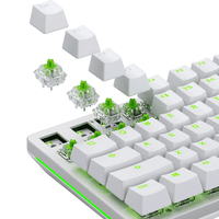 Glorious Raptor Premium Clicky Mechanical Keyboard Switches (Lubed)