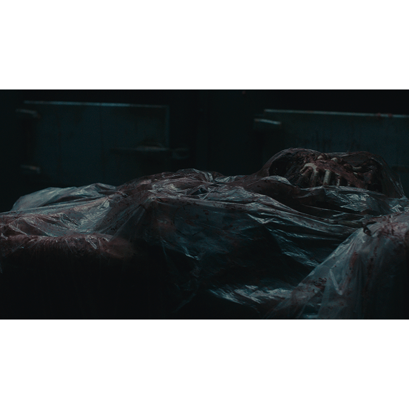 PlayStation 5 Dead Reset EU