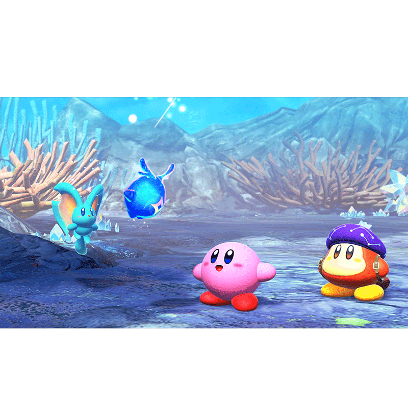 Nintendo Switch Kirby and The Forgotten Land