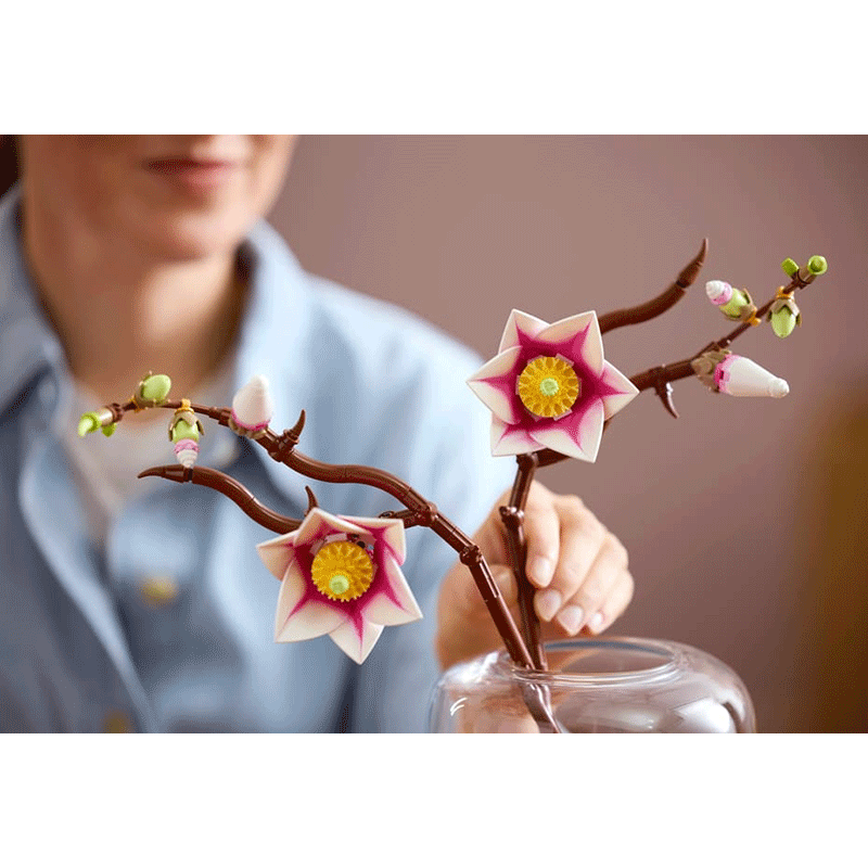 LEGO Botanicals Magnolia Branches (11510)
