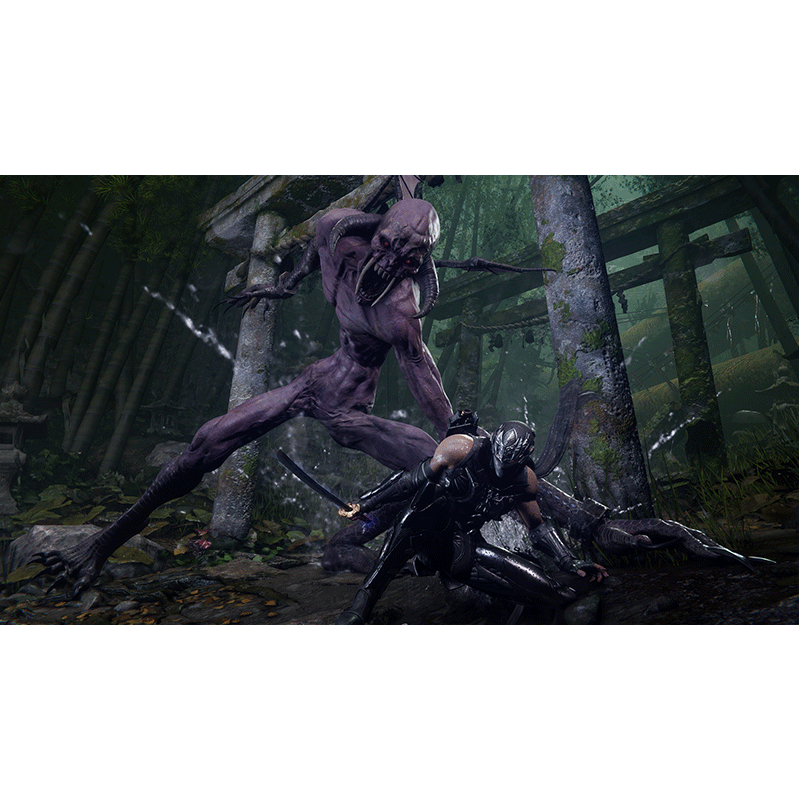 PlayStation 5 Ninja Gaiden 4 (ASI)