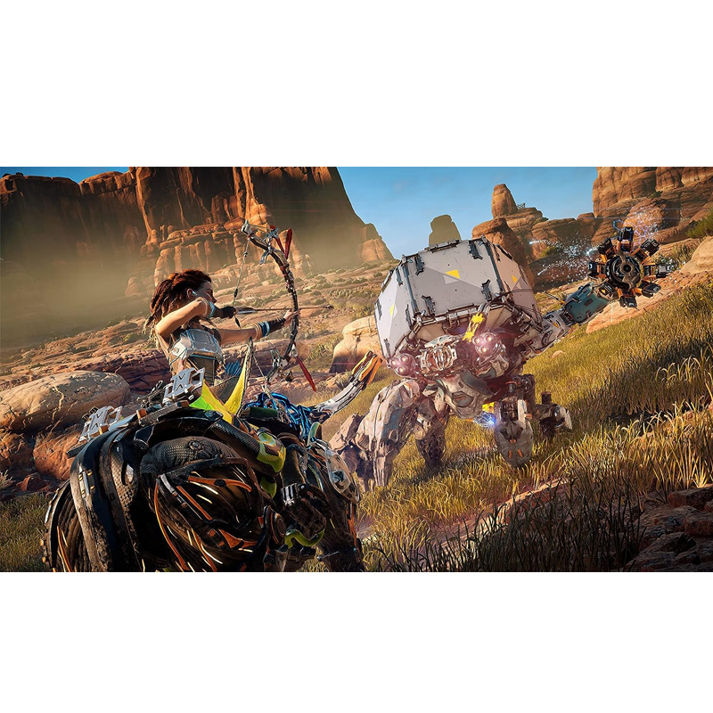PlayStation 5 Horizon Forbidden West (EU)