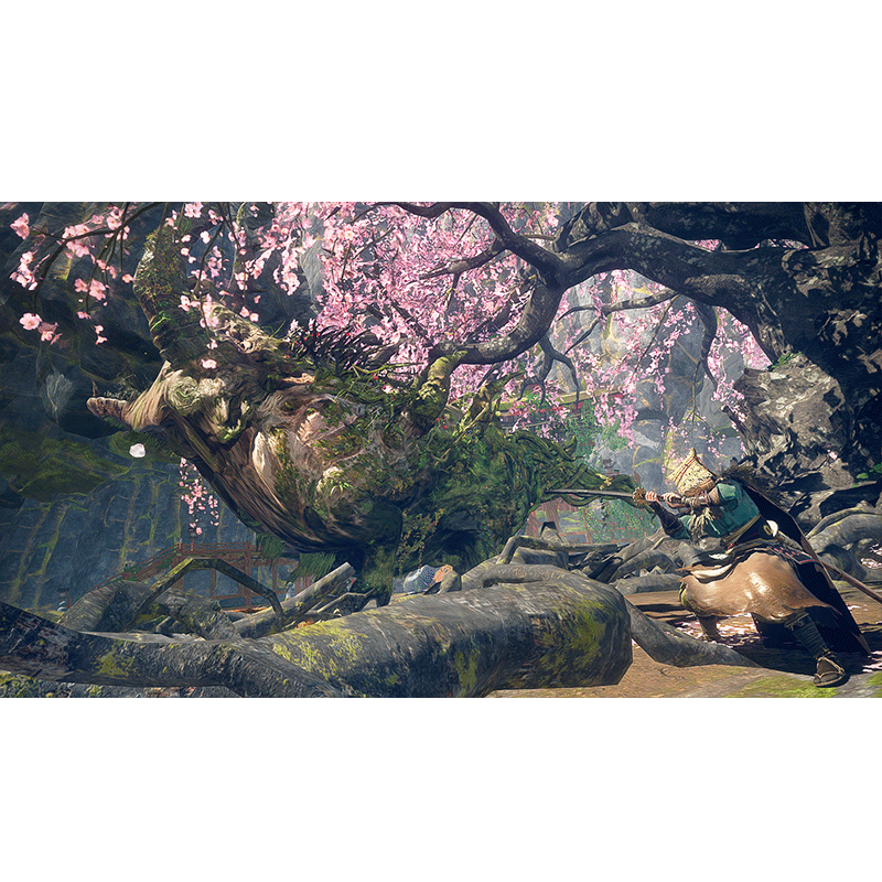 Nintendo Switch 2 Wild Hearts S (Game-key Card) (ASI)