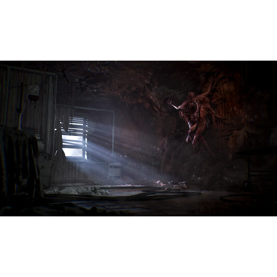 Nintendo Switch 2 Cronos: The New Dawn (EU)