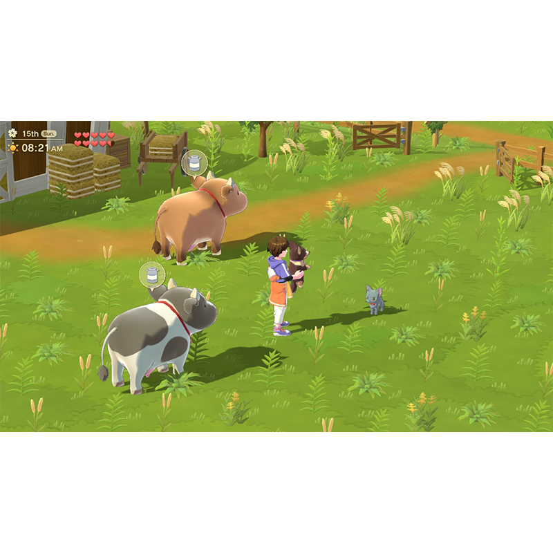 Nintendo Switch Harvest Moon: Home Sweet Home Special Edition (ASI)