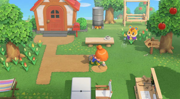 Nintendo Switch Animal Crossing New Horizon