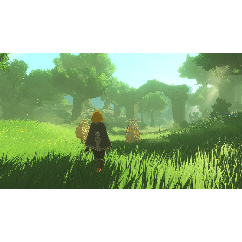 Nintendo Switch 2 Hyrule Warriors: Age of Imprisonment (ASI)