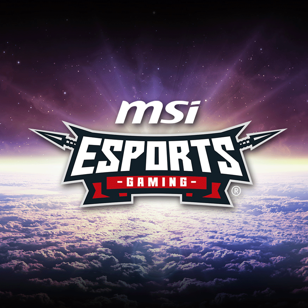 MSI G2412 23.8" FHD IPS Esports Gaming Monitor