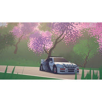 Nintendo Switch Art of Rally Standard Ed (US)