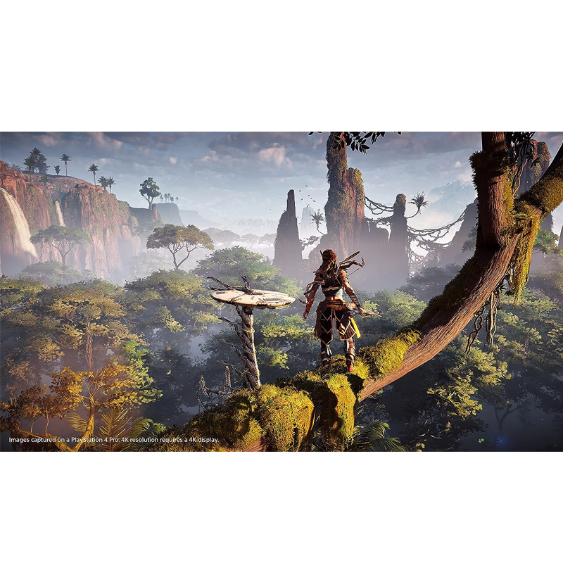 PlayStation 5 Horizon Forbidden West (EU)