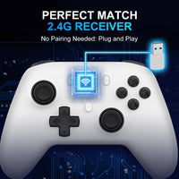 IINE Plutus Wireless Controller for PC (Black) (L983)