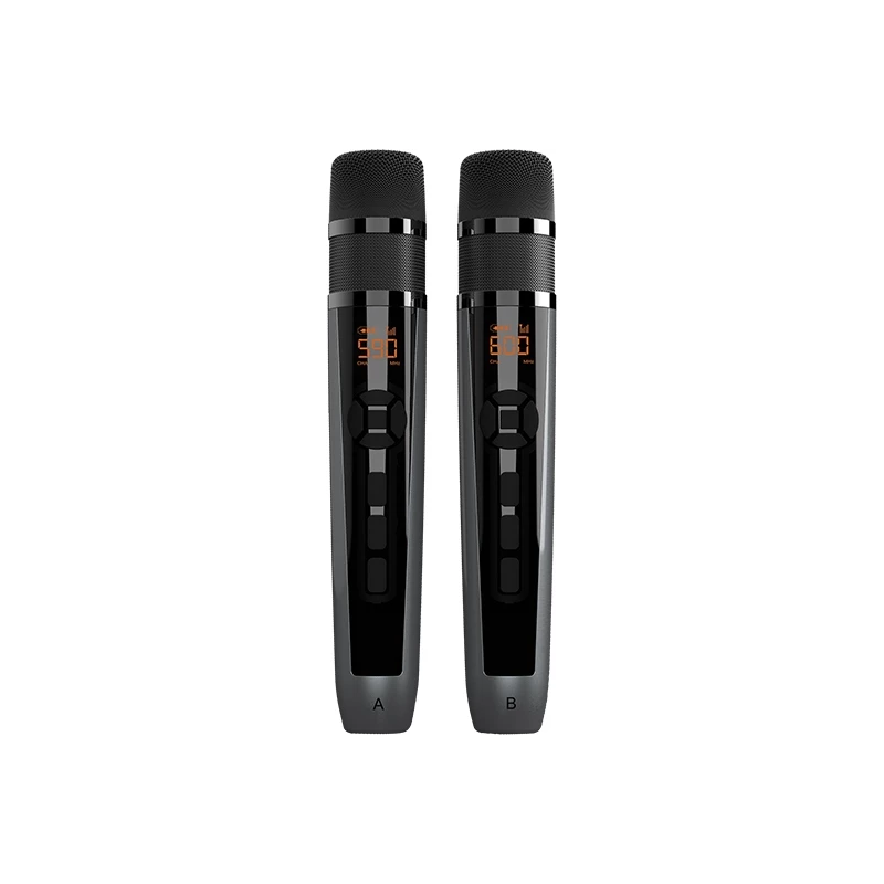 Platinum Karaoke APOLLO PRO Portable Bluetooth Speaker