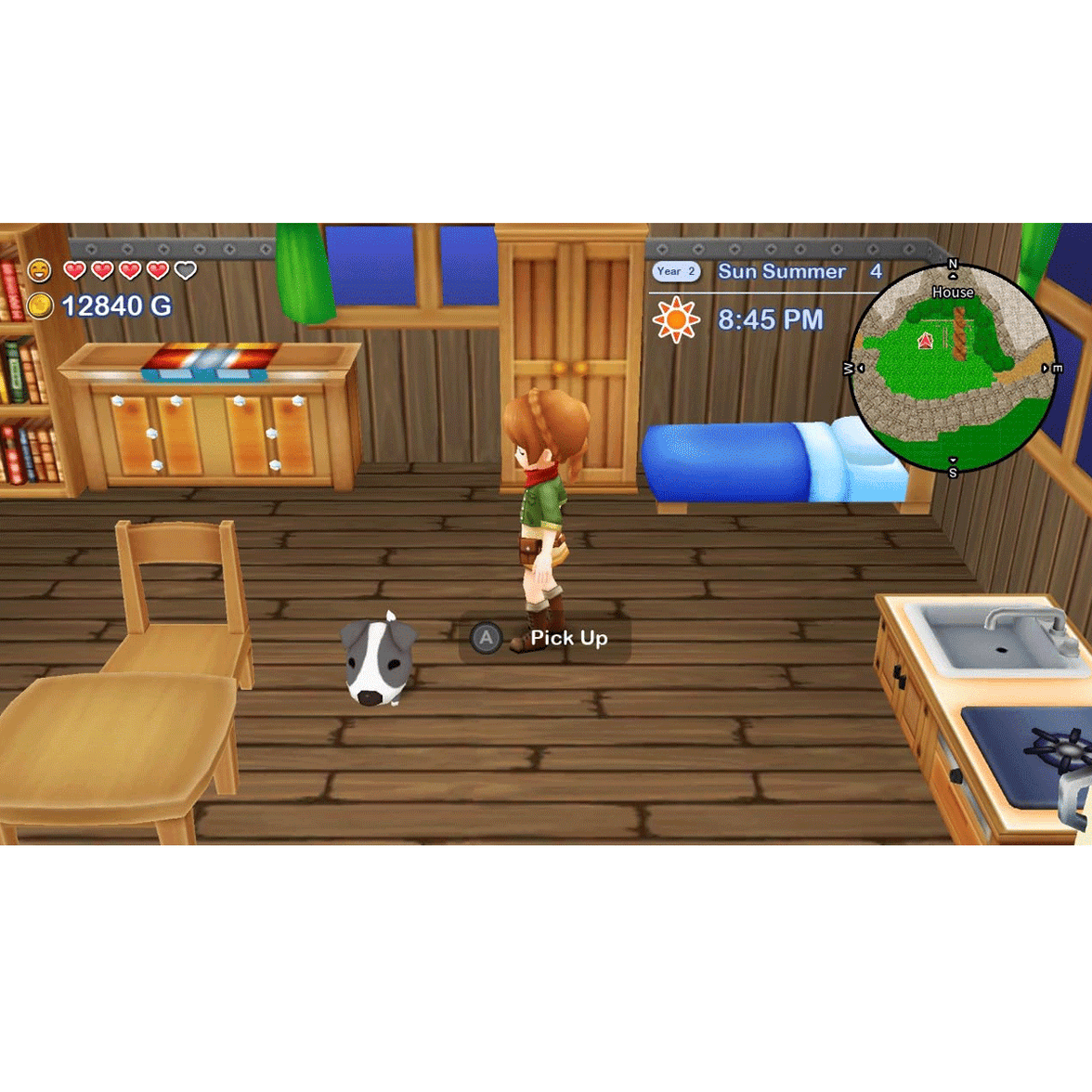 Nintendo Switch Harvest Moon Skytree Village and The Lost Valley [ASI]