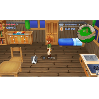 Nintendo Switch Harvest Moon Skytree Village and The Lost Valley [ASI]