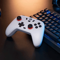 Gamesir T4 Nova Lite Multi-Platform Wireless Game Controller