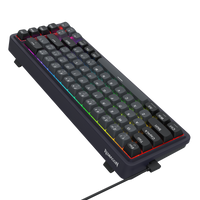 Redragon Nova Magnetic Switch  Wireless Gaming Keyboard (K709GB-RGB-M)