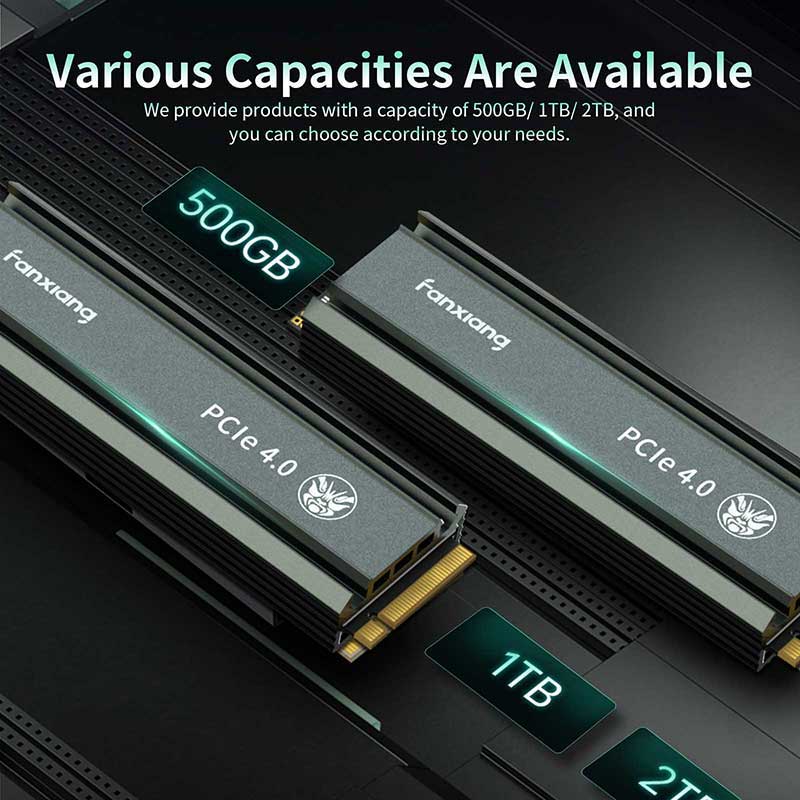 Fanxiang S660 M.2 2280 NVMe SSD PCIe 4.0 3D TLC (PC/Laptop/PS5)