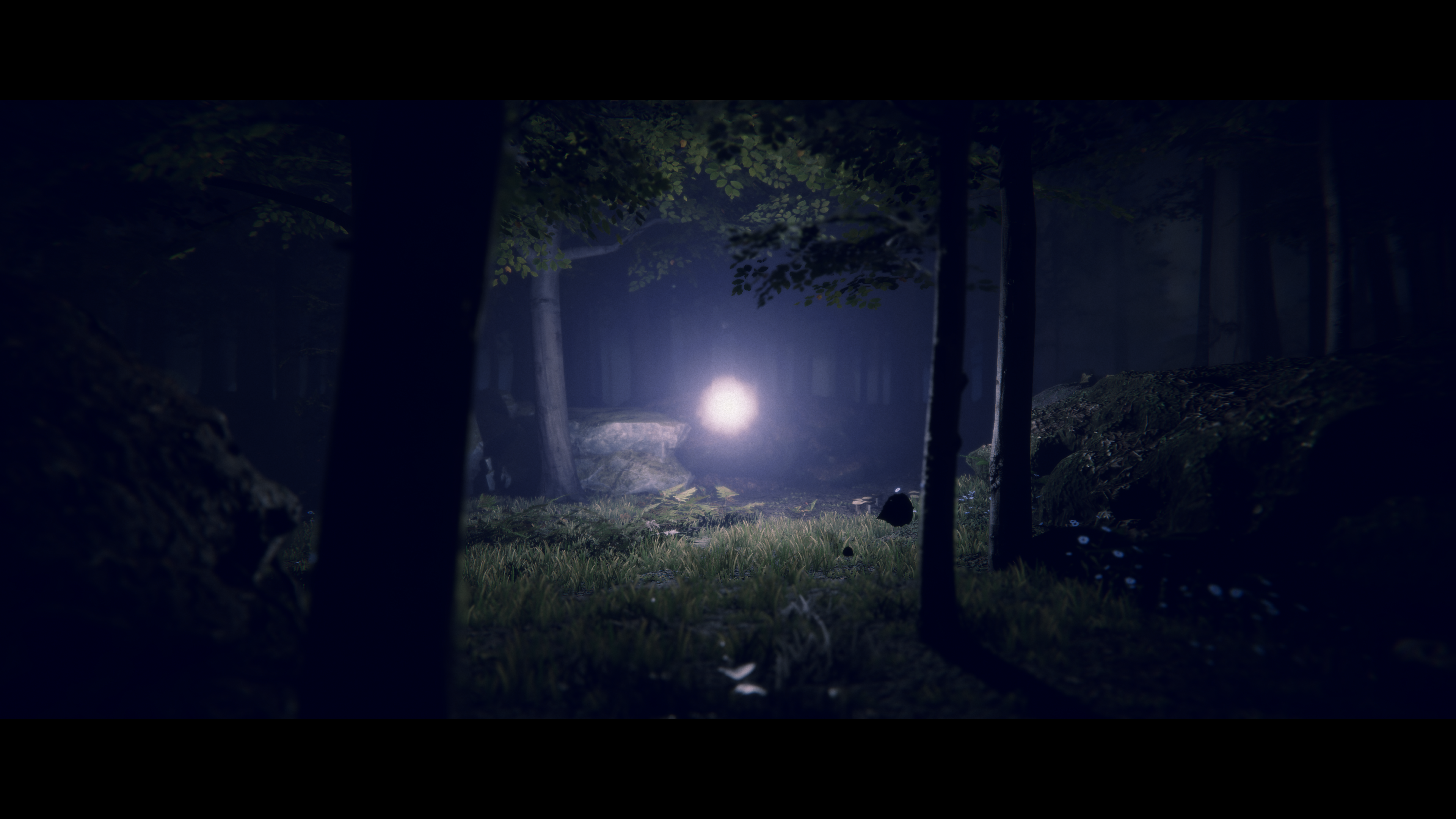 [PRE-ORDER] PlayStation 5 Project Songbird (EU)