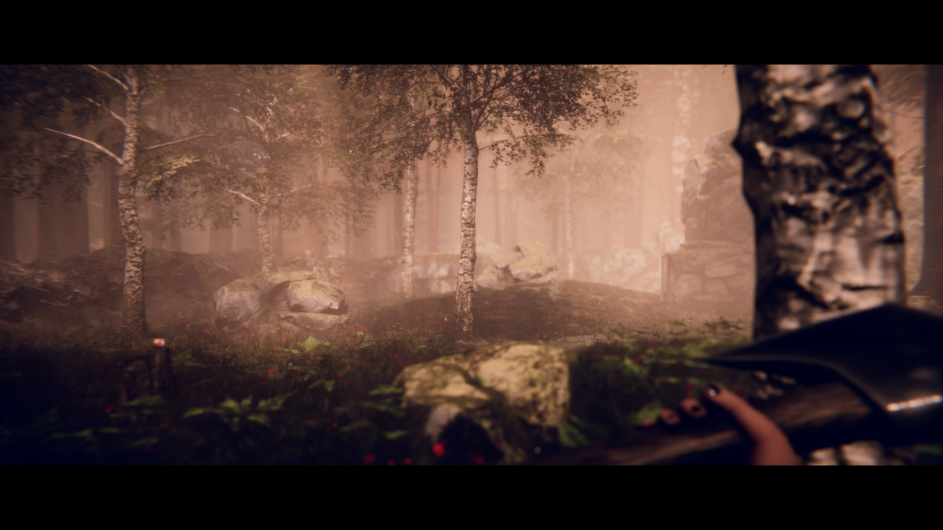 [PRE-ORDER] PlayStation 5 Project Songbird (EU)