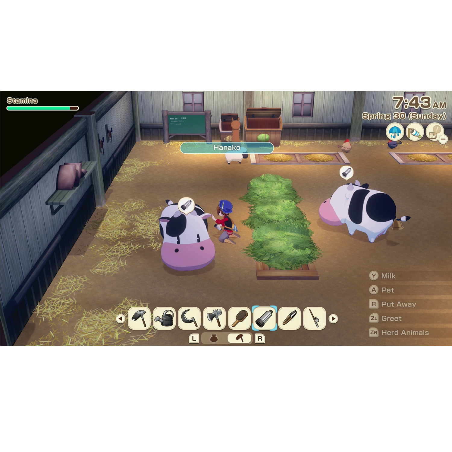 Nintendo Switch Story of Seasons Grand Bazaar