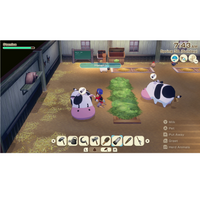 Nintendo Switch Story of Seasons Grand Bazaar