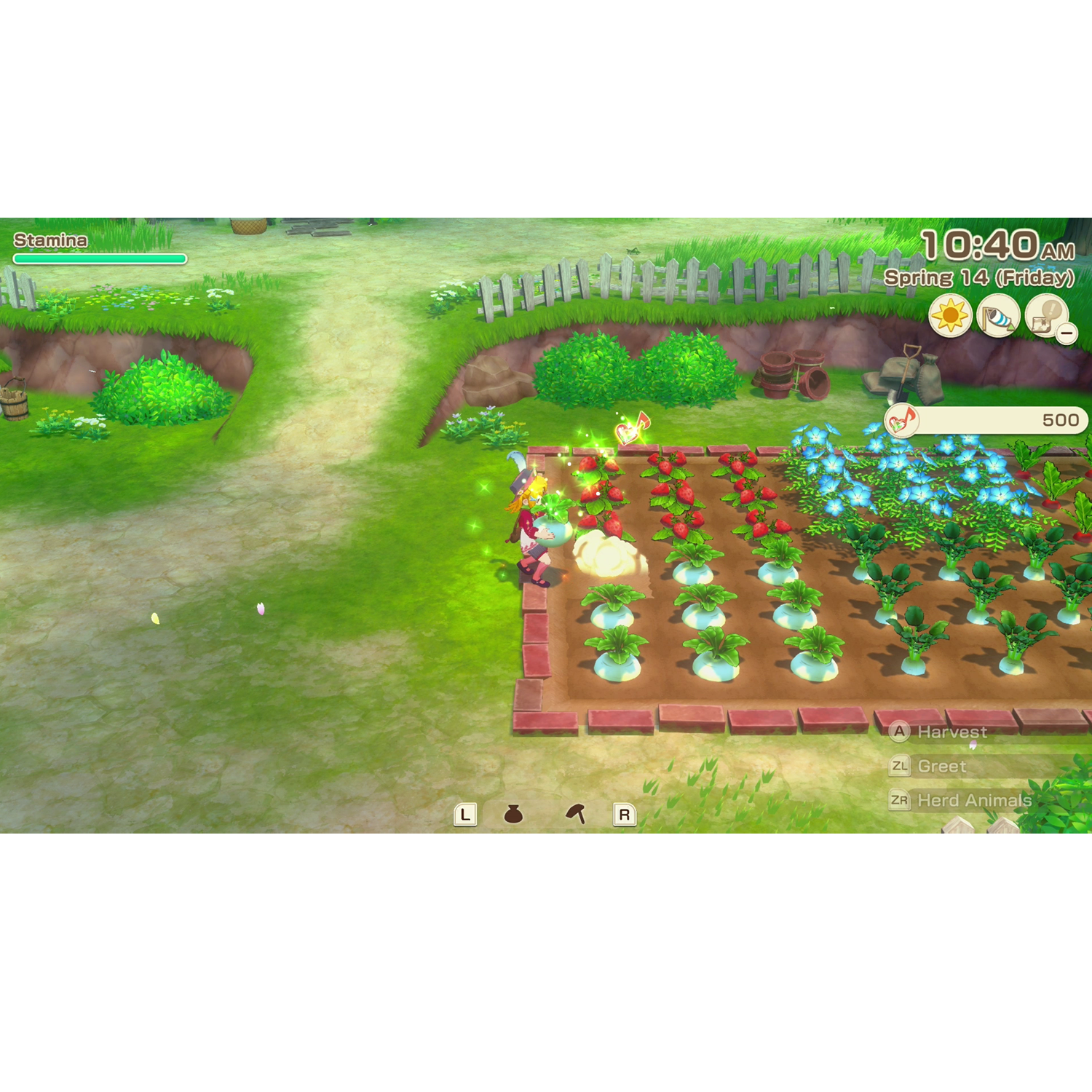 Nintendo Switch Story of Seasons Grand Bazaar